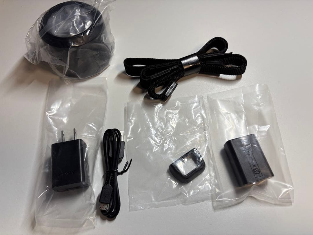 SONY α6100 ミラーレスカメラ ダブルズームレンズキット