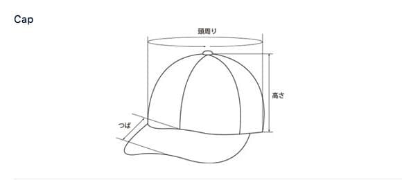 帽子 THE NORTH FACE Purple PALACE Field Cap