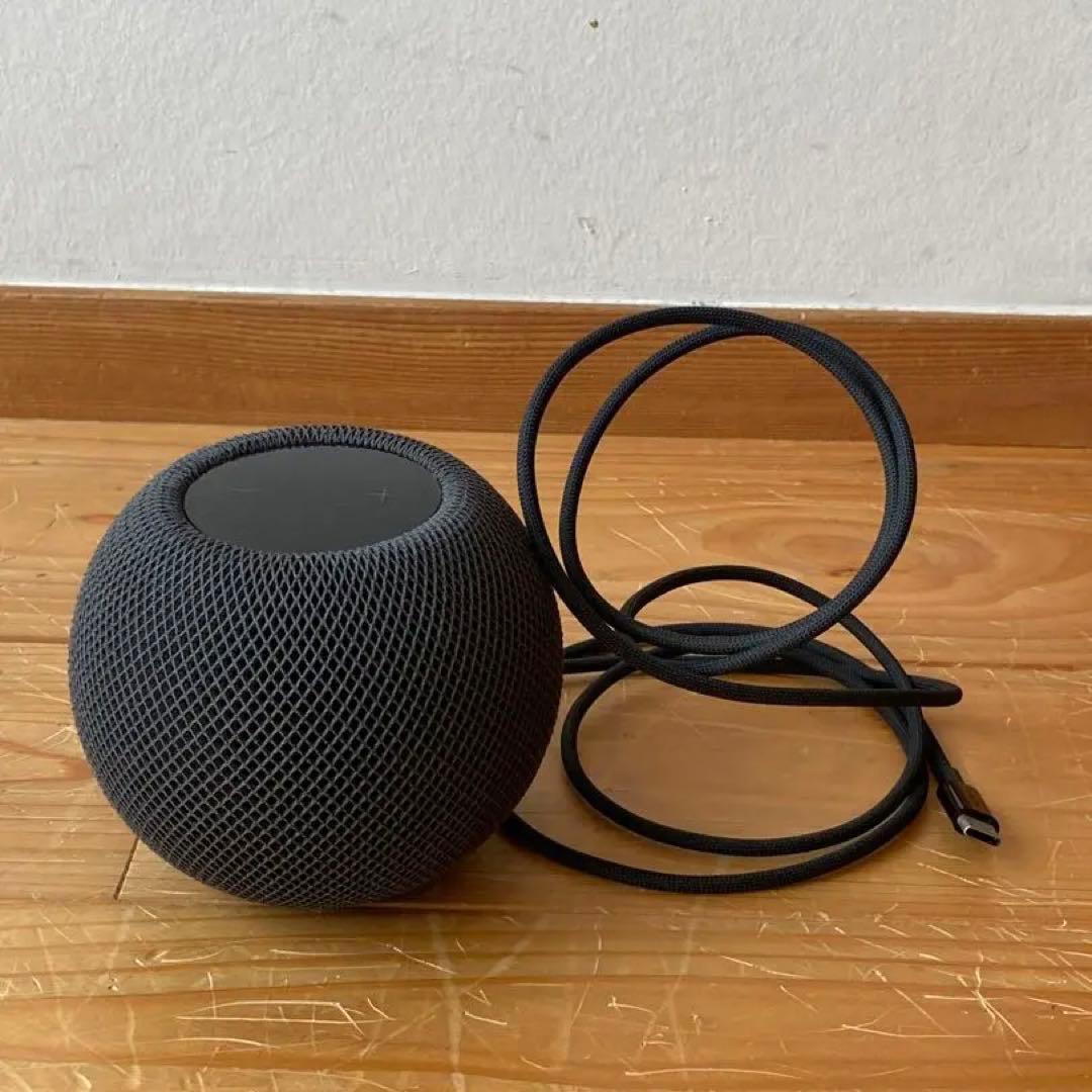 Apple Pod mini 動作品 スペースグレー