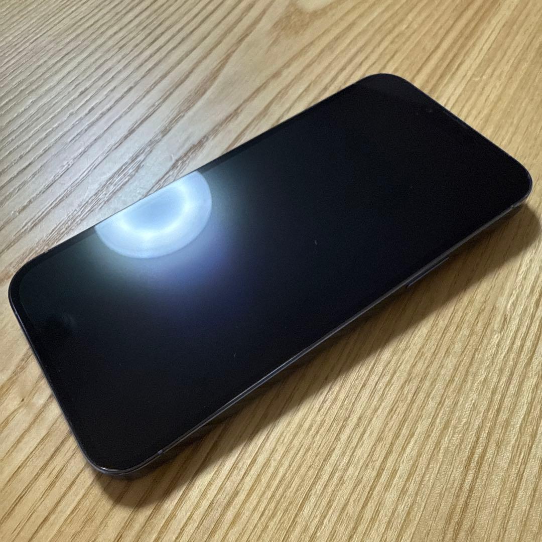 Apple iPhone 13 Pro Max シエラブルー 本体 おまけ付き