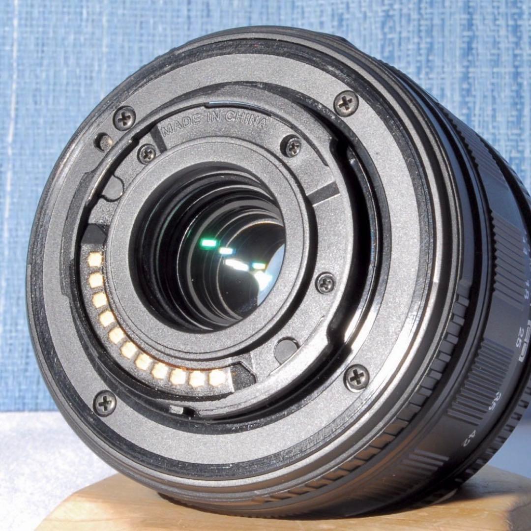 初心者向け✨Olympus PEN E-PL1 ミラーレスカメラ ✨スマホ転送