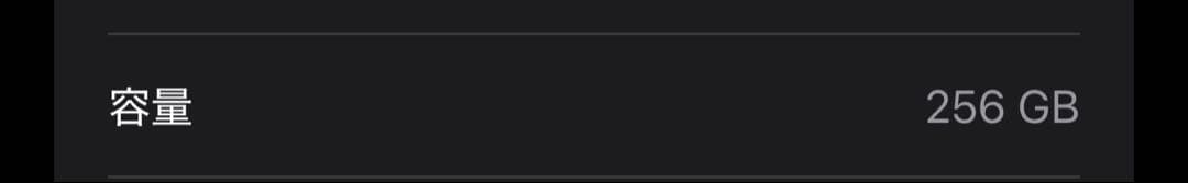 t*1様 iPhone16 pro max 256GB 100%