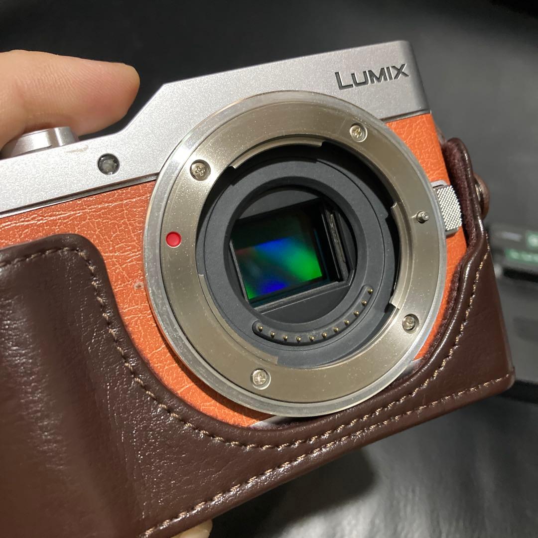 美品　最新LUMIX GF10ボディ&本革ボディケース&予備バッテリー&充電