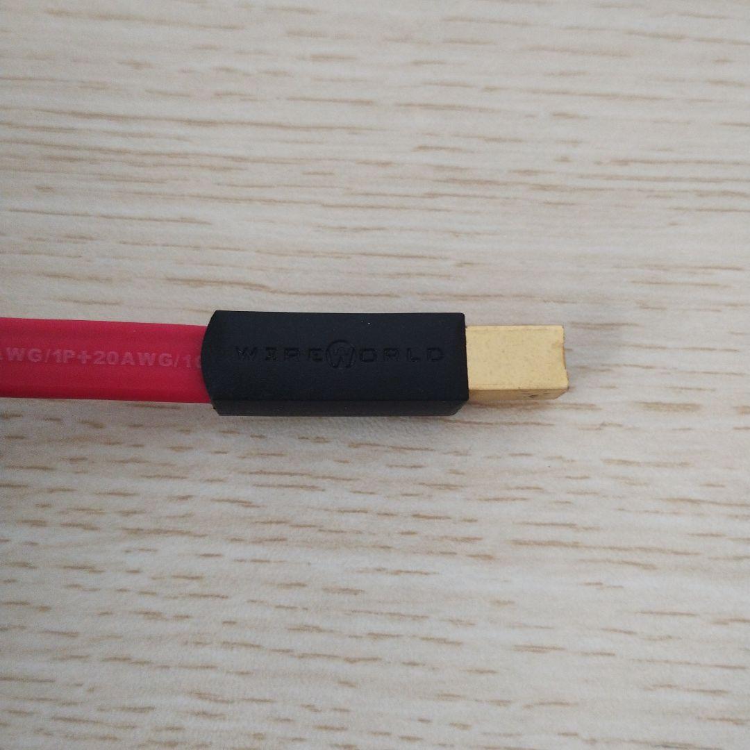 WIREWORLD STARLIGHT USB2.0 オーディオケーブル 3m