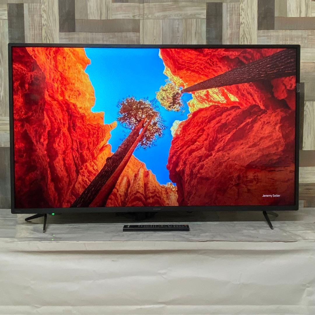 即日受渡❣️全国送料込昨年購入アイリスオーヤマ 50型4K液晶モニタースピーカー付