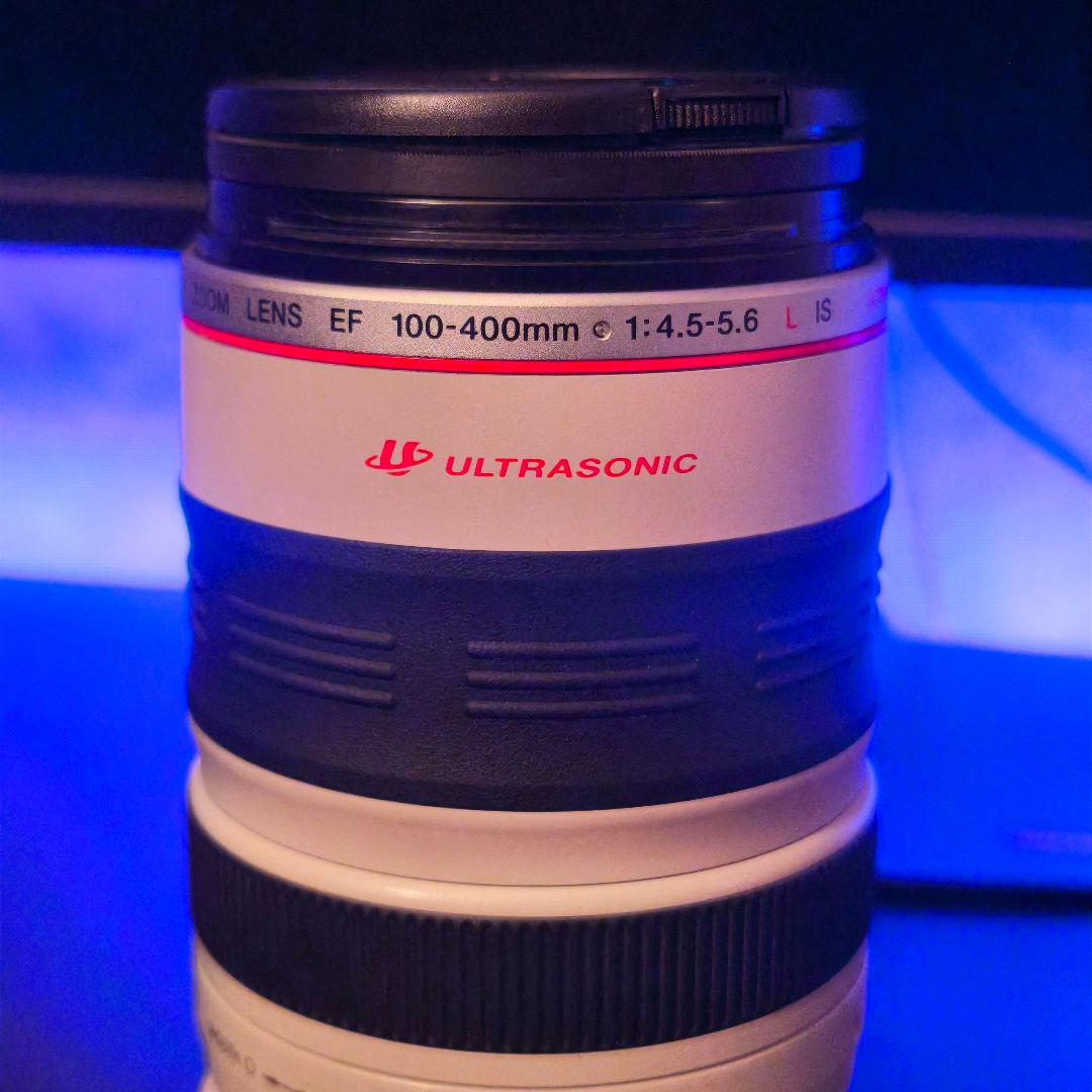 Canon ズーム LENS EF 100-400mm f4.5-5.6L