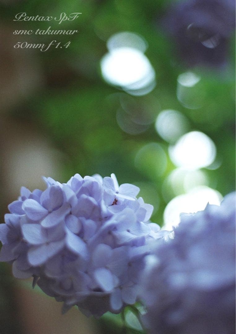 pentax spf（ブラック&ホワイト）本革外装★f1.4＊完動品＊初期保証