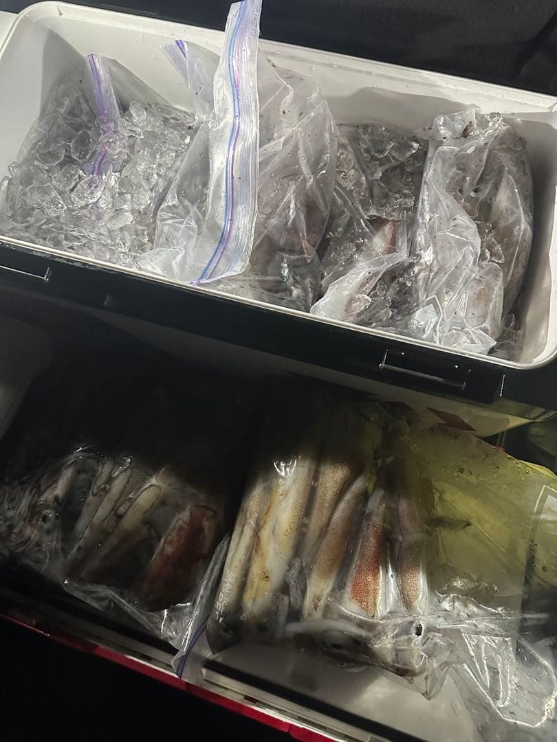 専用。 ダイワ エメラルダス MX K60MLB-Sイカメタル　ベイト