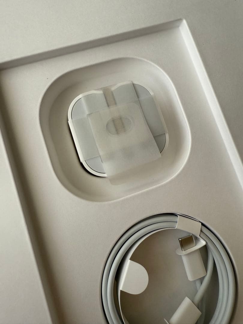 [香港] iPad Pro 12.9インチ 第5世代Cellular 512GB