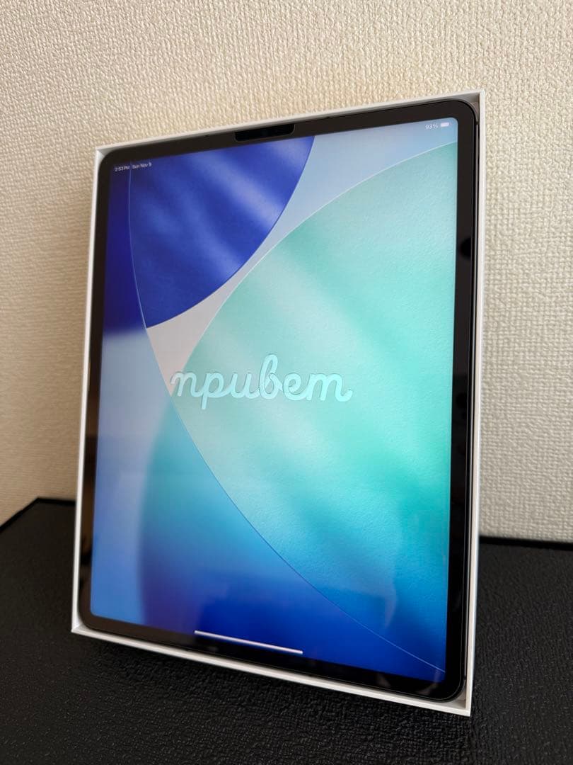 [香港] iPad Pro 12.9インチ 第5世代Cellular 512GB