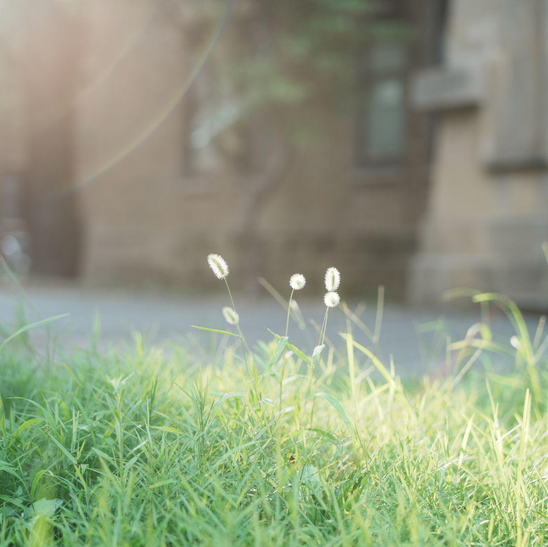 「訳あり」Yongnuo YN50mm F1.8S レンズ ソニーEマウント