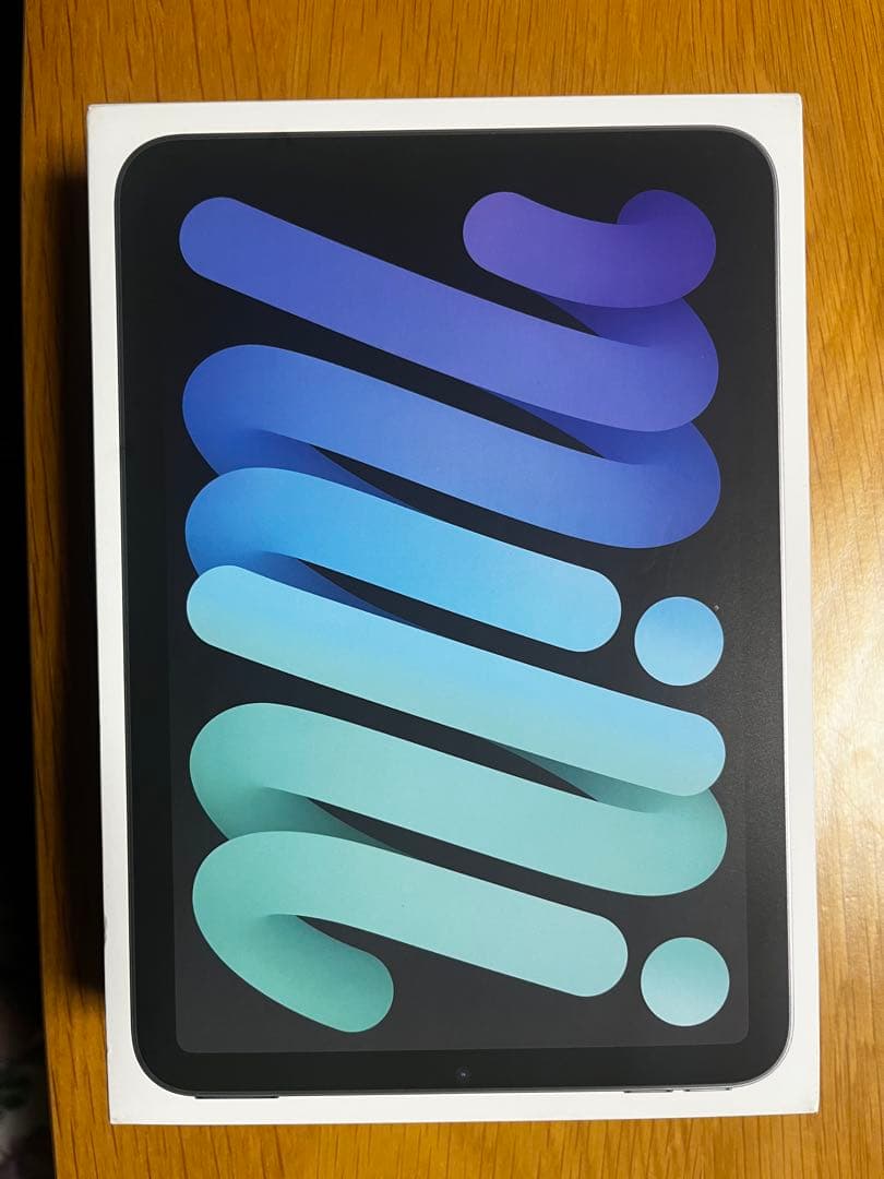 iPad mini 7 128GB Cellular SIMフリー +ケース