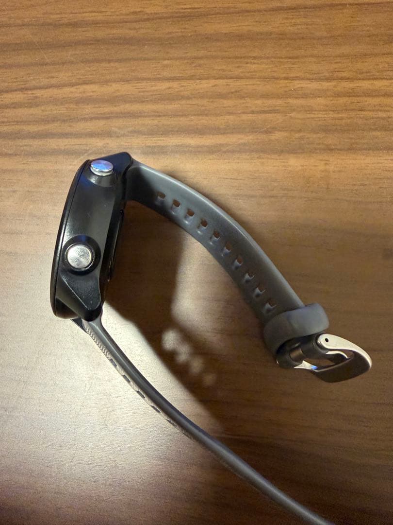 Garmin ガーミン245