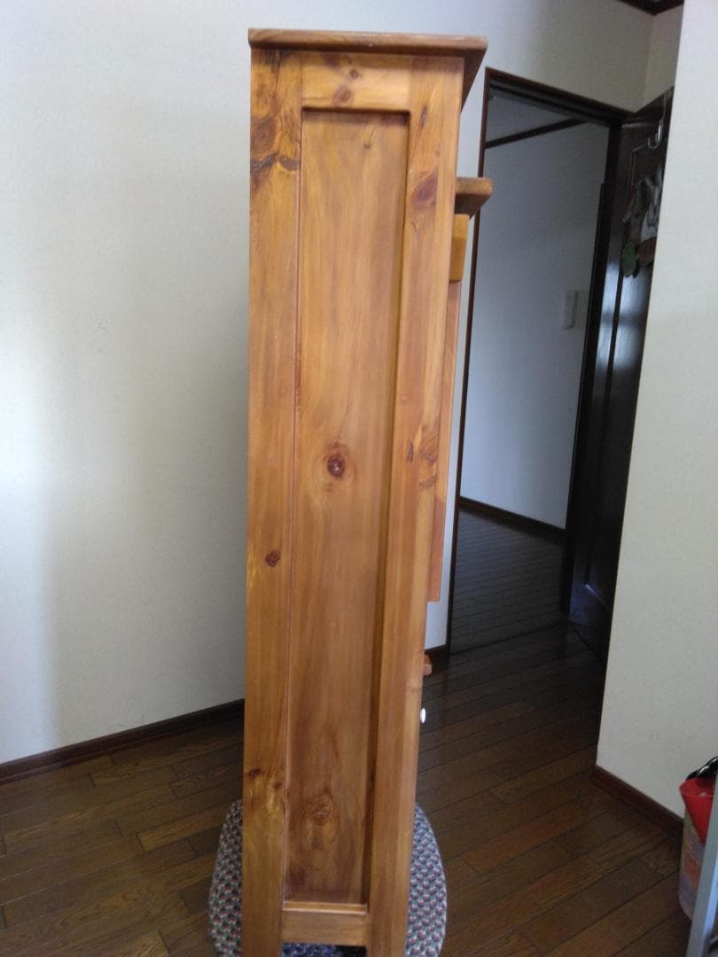 今月末までの限定sale　　アントステラドロップフロントハッチ