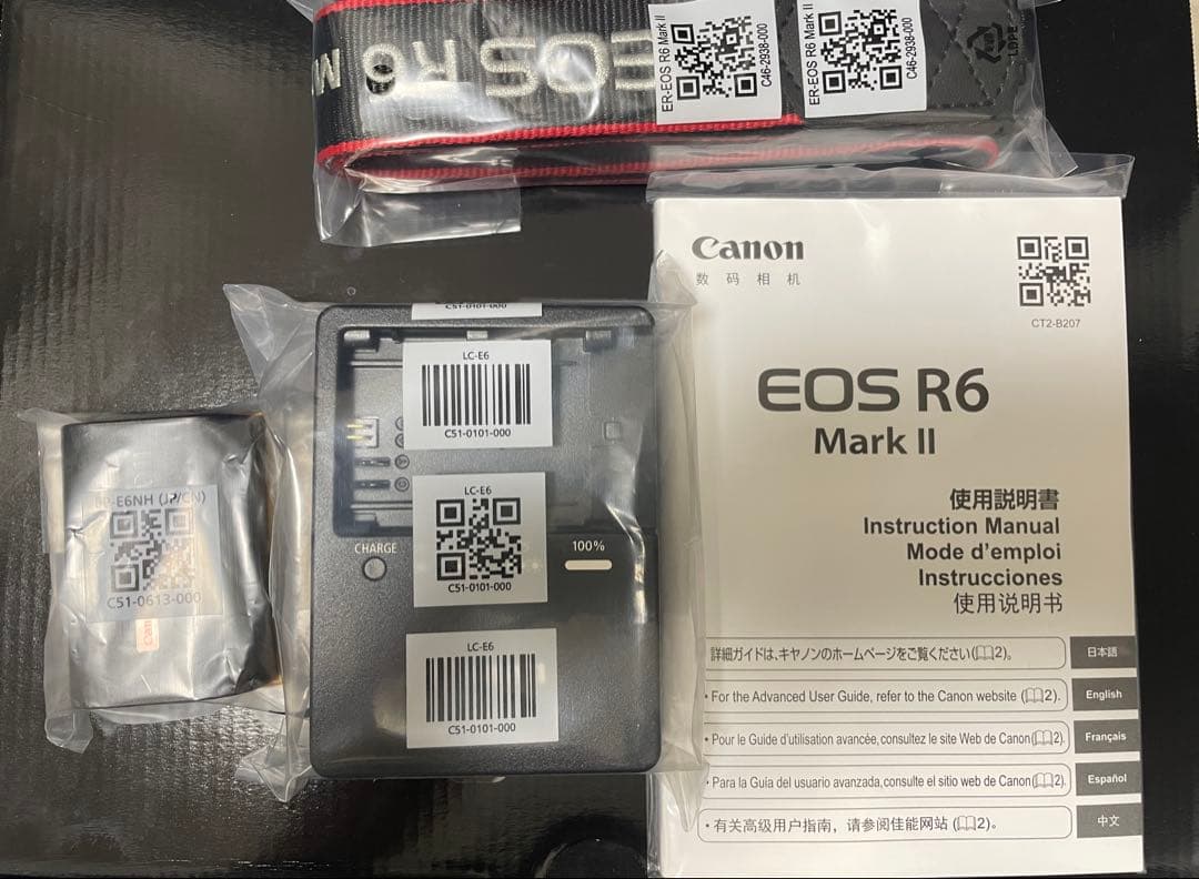 【匿名配送】 Canon EOS R6 Mark II ミラーレス一眼