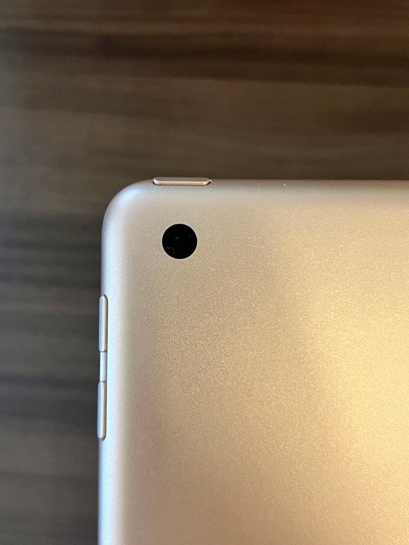 【美品】iPad 第6世代 ゴールド 本体 充電器・カバー付 Wi-Fiモデル