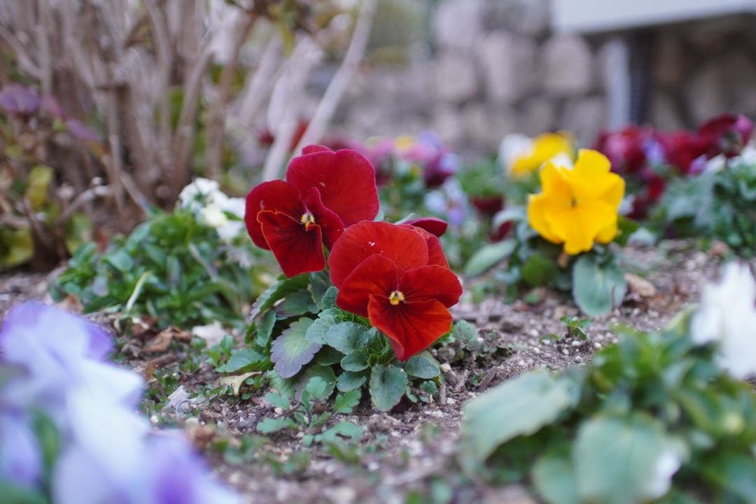 銘玉 Kino Precision Kiron 28mm F2