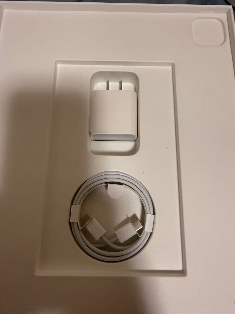 M1 iPad Pro 12.9インチ 256GB セルラー シルバー