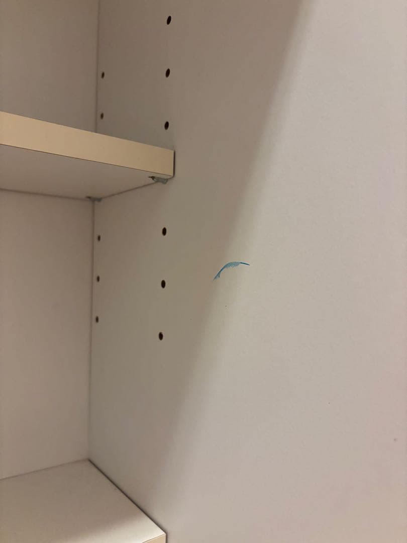 【送料と最低価格にて出品】ホワイト本棚 中型 オープンシェルフ