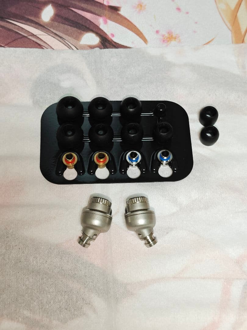 JVC HA-FD01 リケーブル可能イヤホン