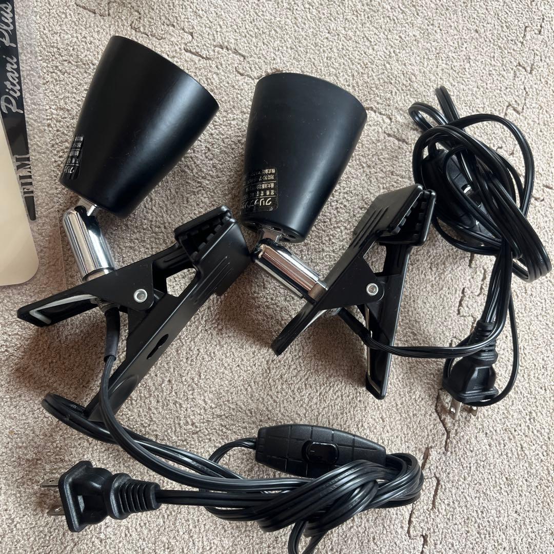 爬虫類　飼育セット　フードおまけ付き