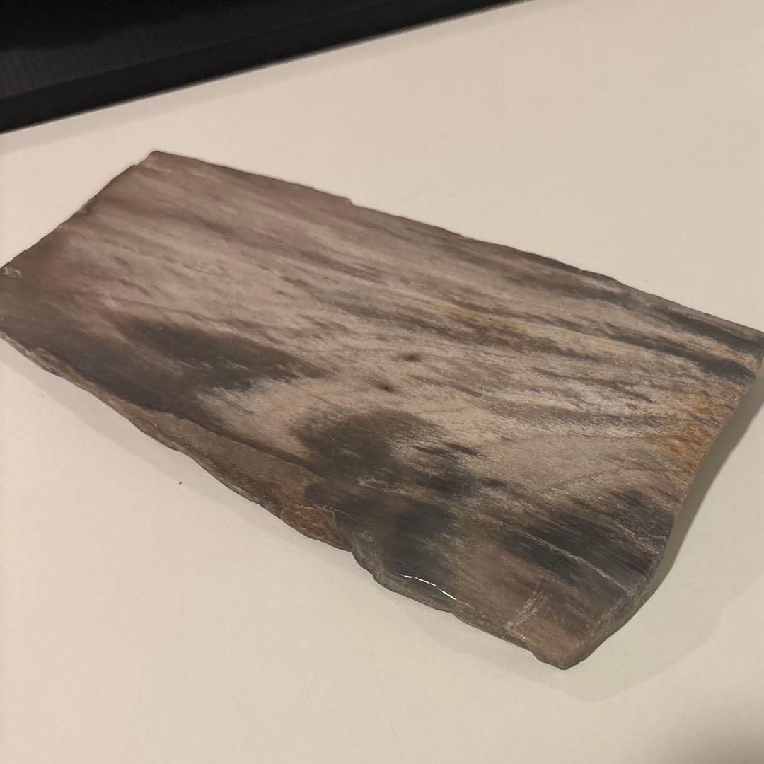 天然石オブジェ／化石化した木片（結晶あり）インテリア・撮影小