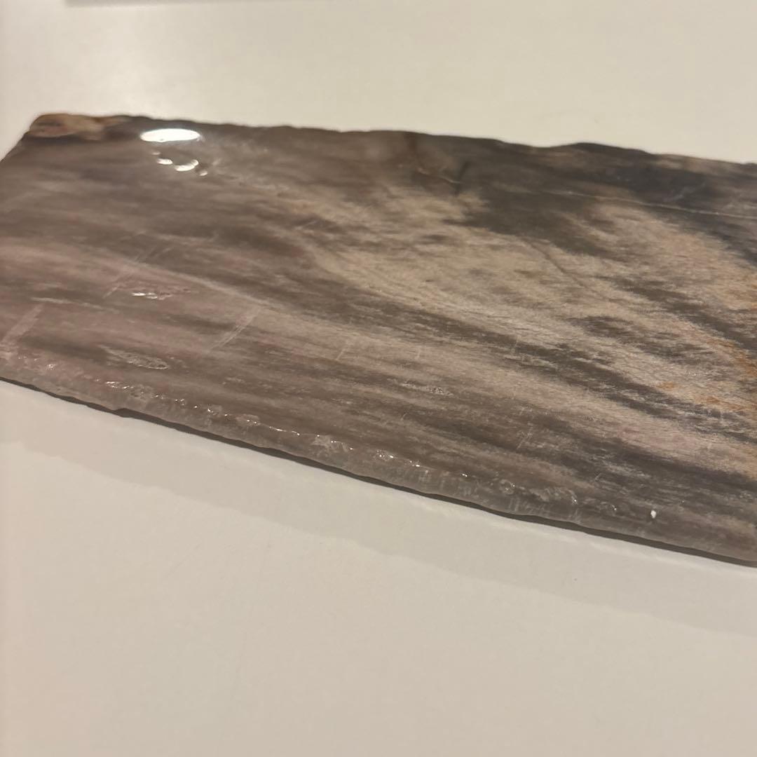 天然石オブジェ／化石化した木片（結晶あり）インテリア・撮影小