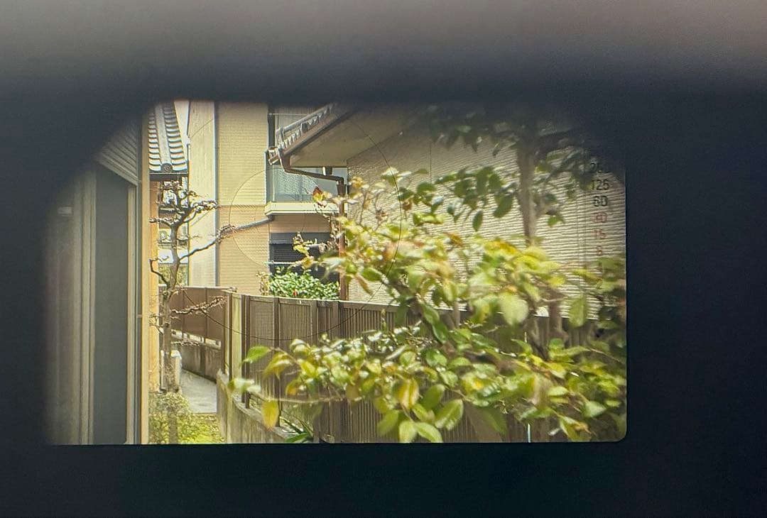 nikon fg35mmフィルムカメラ(断捨離中)