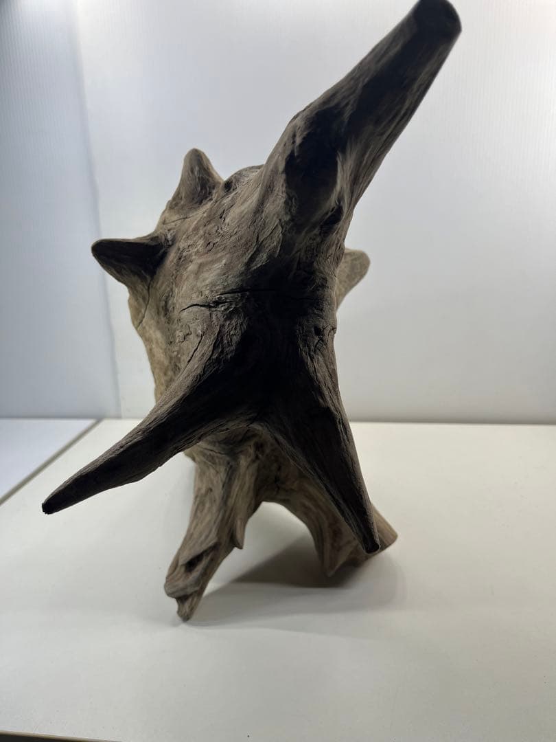 V68特大流木 アク抜き済み流木 爬虫類シェルター 登り木 インテリア 生け花