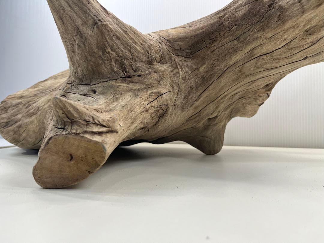 V68特大流木 アク抜き済み流木 爬虫類シェルター 登り木 インテリア 生け花