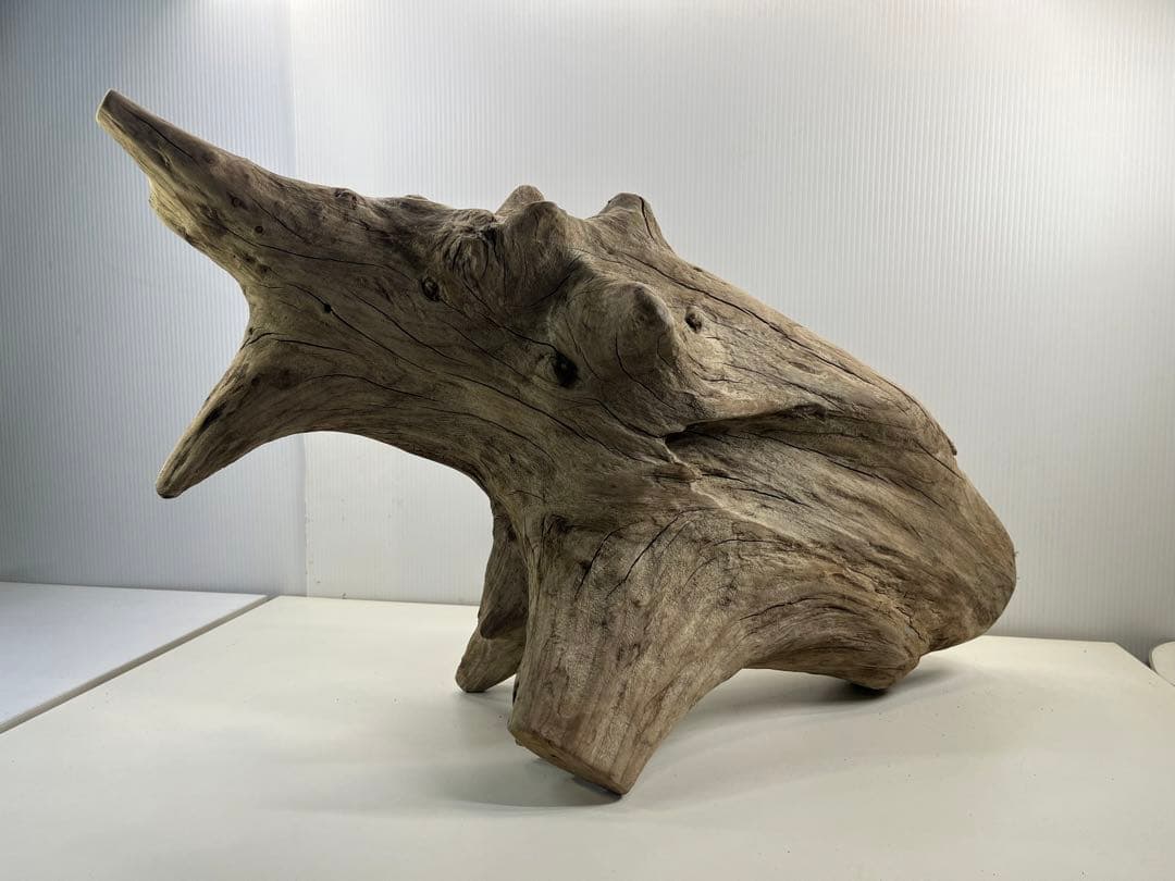 V68特大流木 アク抜き済み流木 爬虫類シェルター 登り木 インテリア 生け花