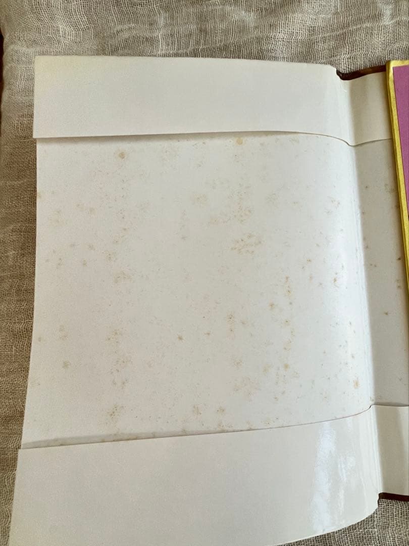 SNOOPYINFASHION スヌーピーインファッション 写真集　ぬいぐるみ