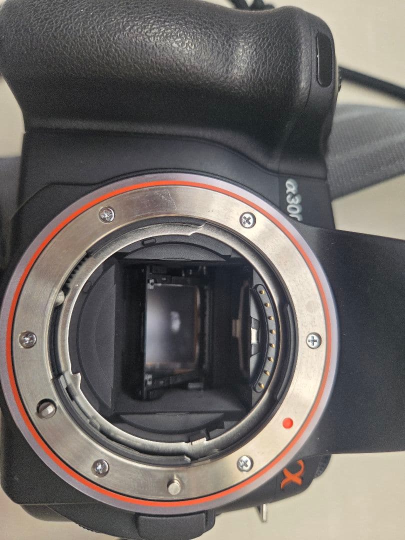 ​SONY α300 豪華Wレンズセットカスタムストラップ付