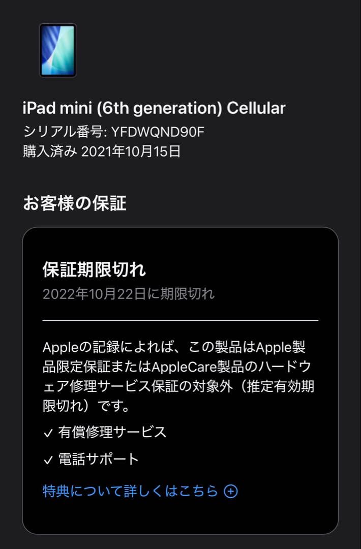 iPad mini 8.3インチ 第6世代 256GB パープル simフリー