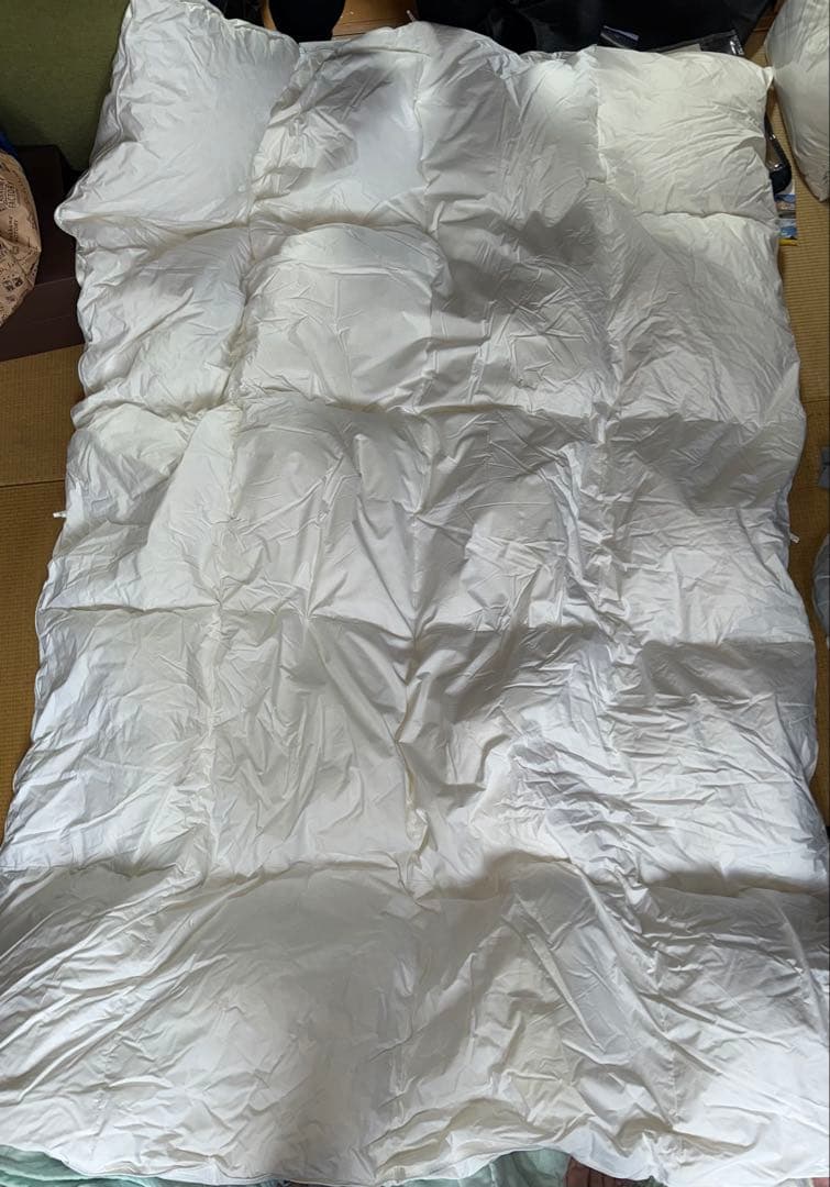 DANICA LYKKE ダウン布団 収納バッグ付き★