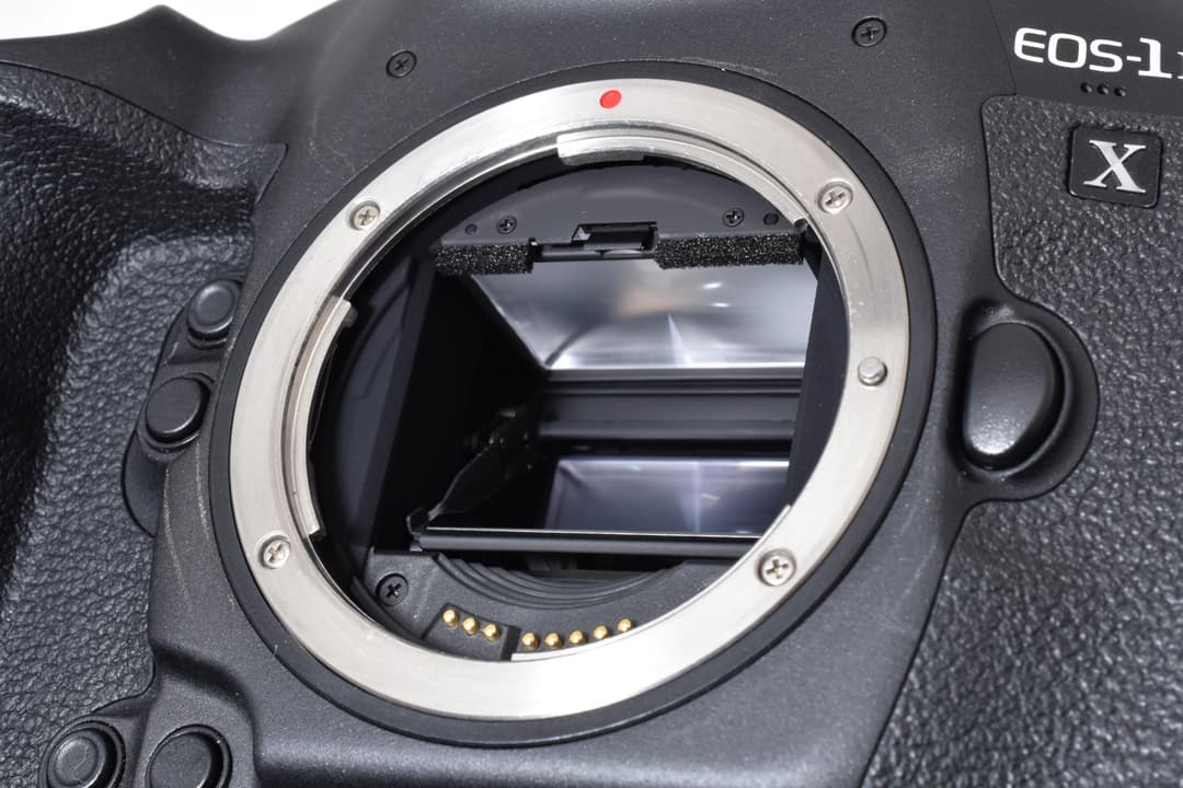 ■極上品■ キャノン EOS-1D X Mark II #D059