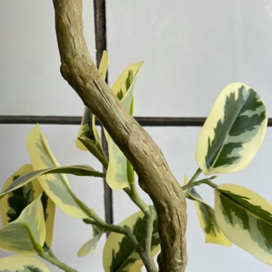 光触媒　人工観葉植物　ウォールグリーン　フェイクグリーン　ツイストアルテシマaj