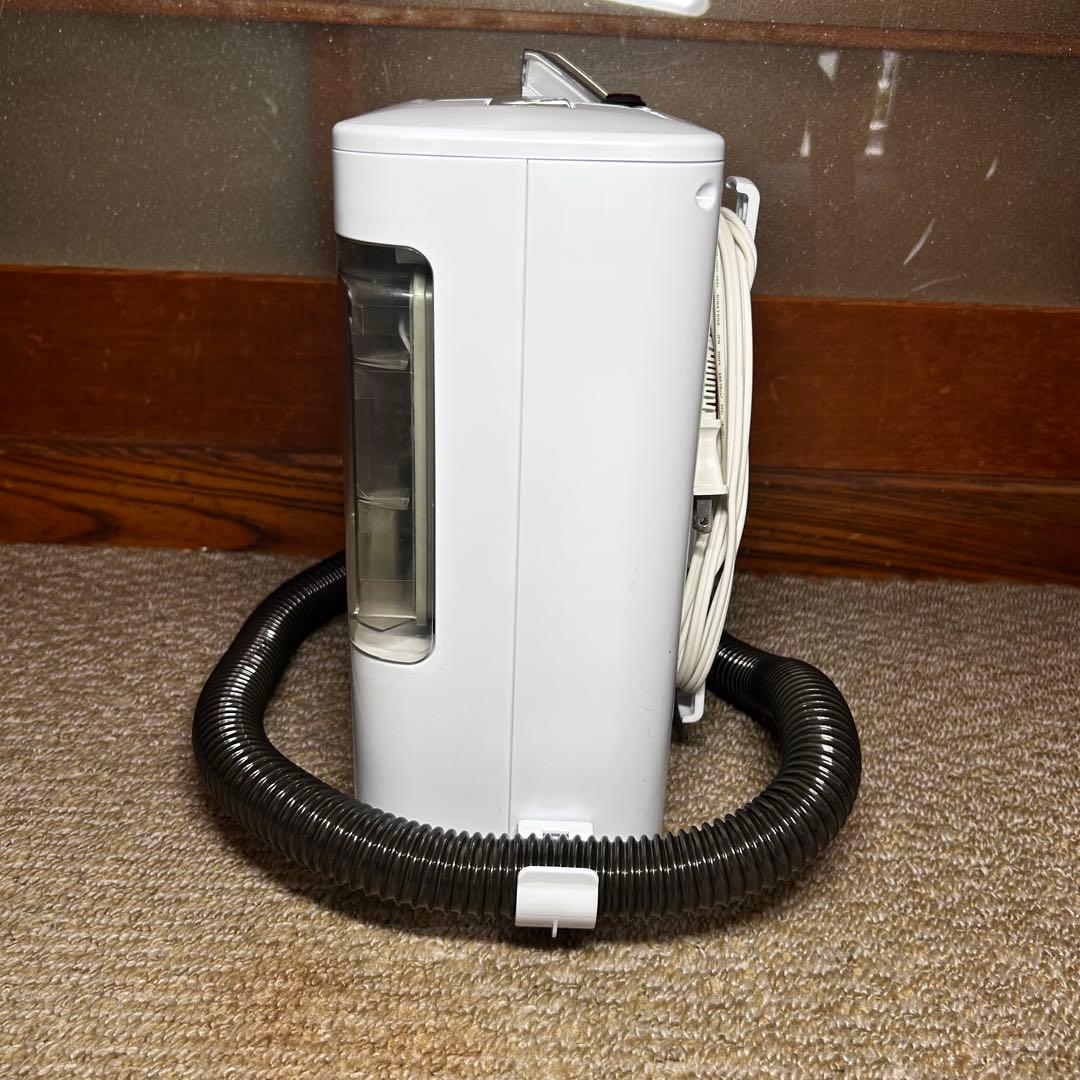 【美品】IRIS OHYAMA リンサークリーナー RNS-300