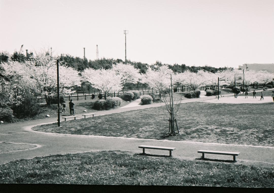 kyng / 珍品・動作品 SAMOCA 35 Ⅲ C.EZUMAR