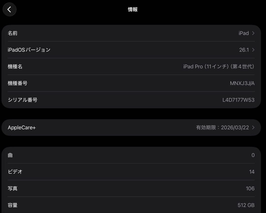 【美品/保証あり】iPad Pro 11インチ 第4世代 512GB Wi-Fi