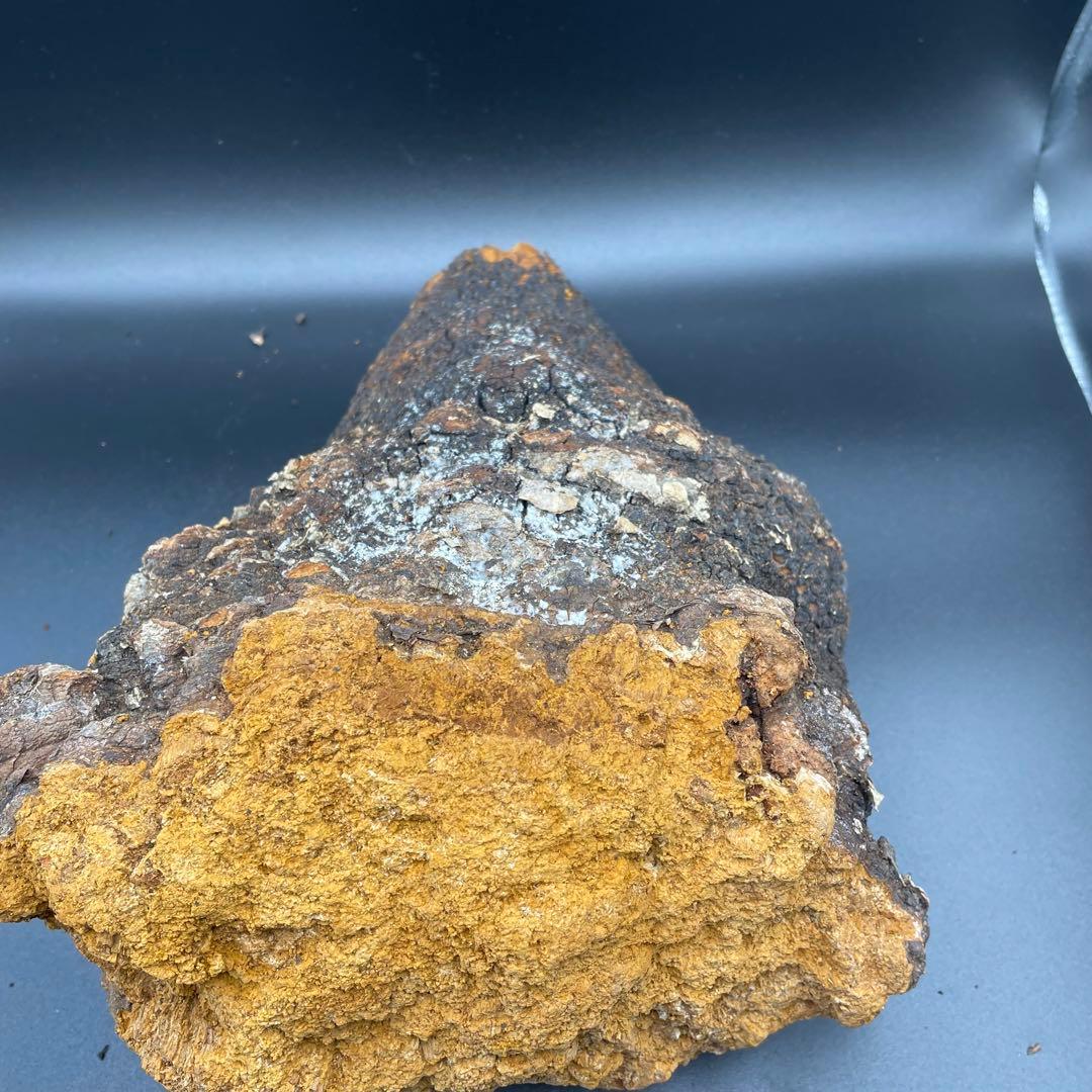 カバノアナタケ 原塊 2点セット 計約2.15kg（1.5kg＋0.65kg）