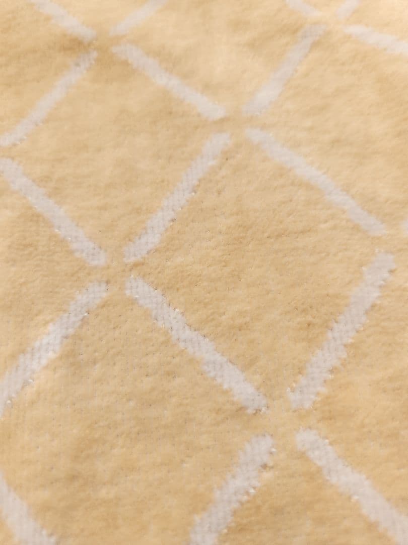 新品未使用♡Louis Vuitton ロゴ入りブランケット