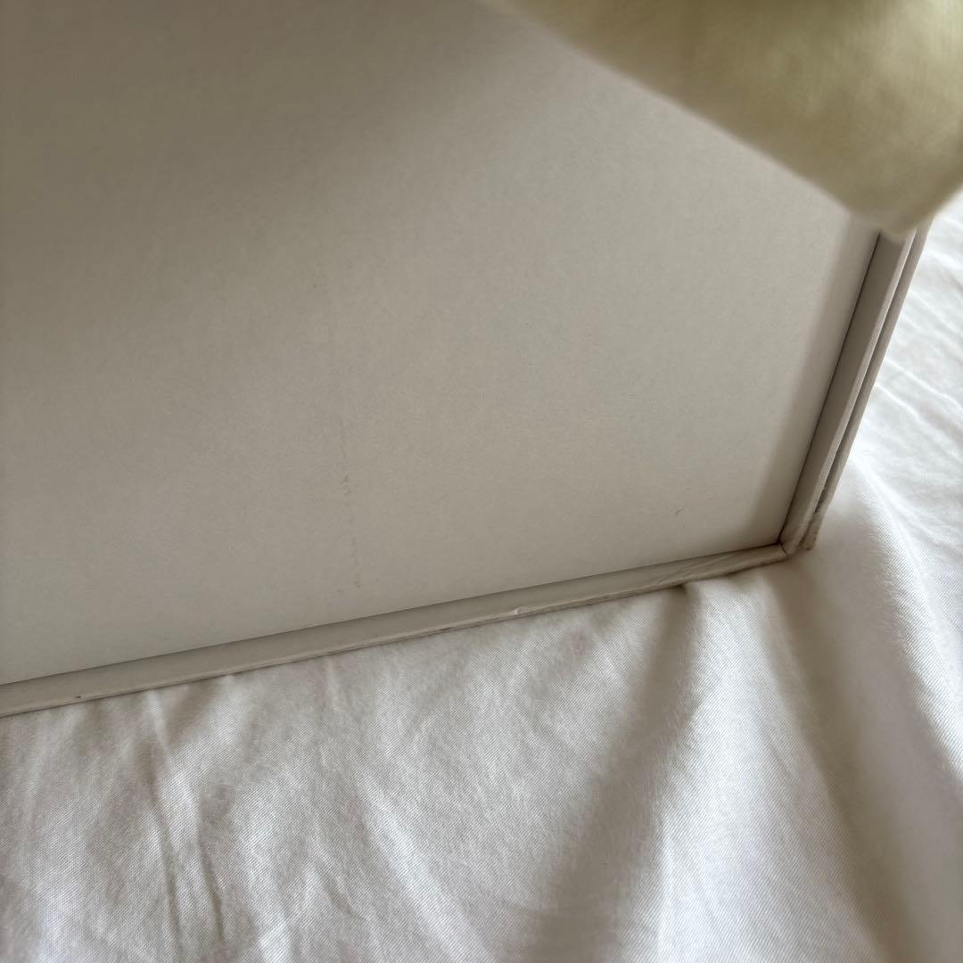 LOEWE かごバッグ ストロー レザースモール