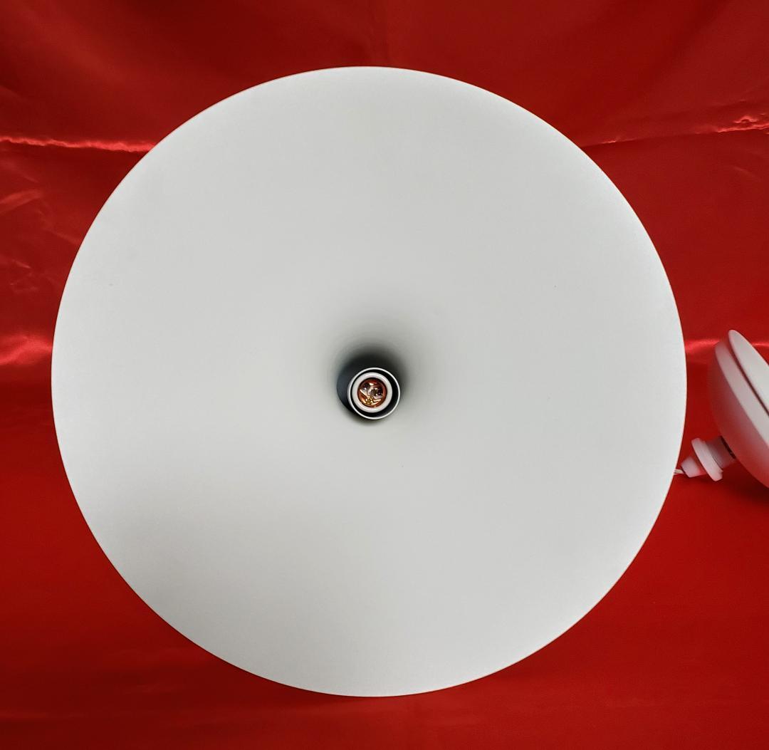 r*a様 ARTWORKSTUDIO ペンダントライト AW-0534 E17