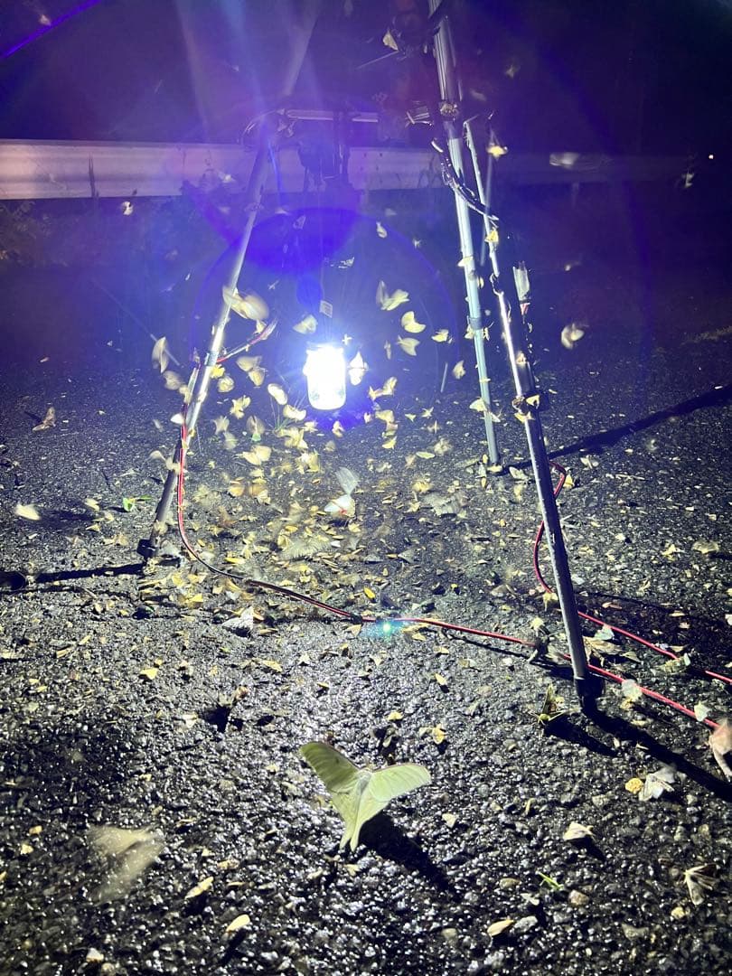 灯火採集　吊り下げ　置き型　ライトトラップ　HID55w 紫外線放出加工済