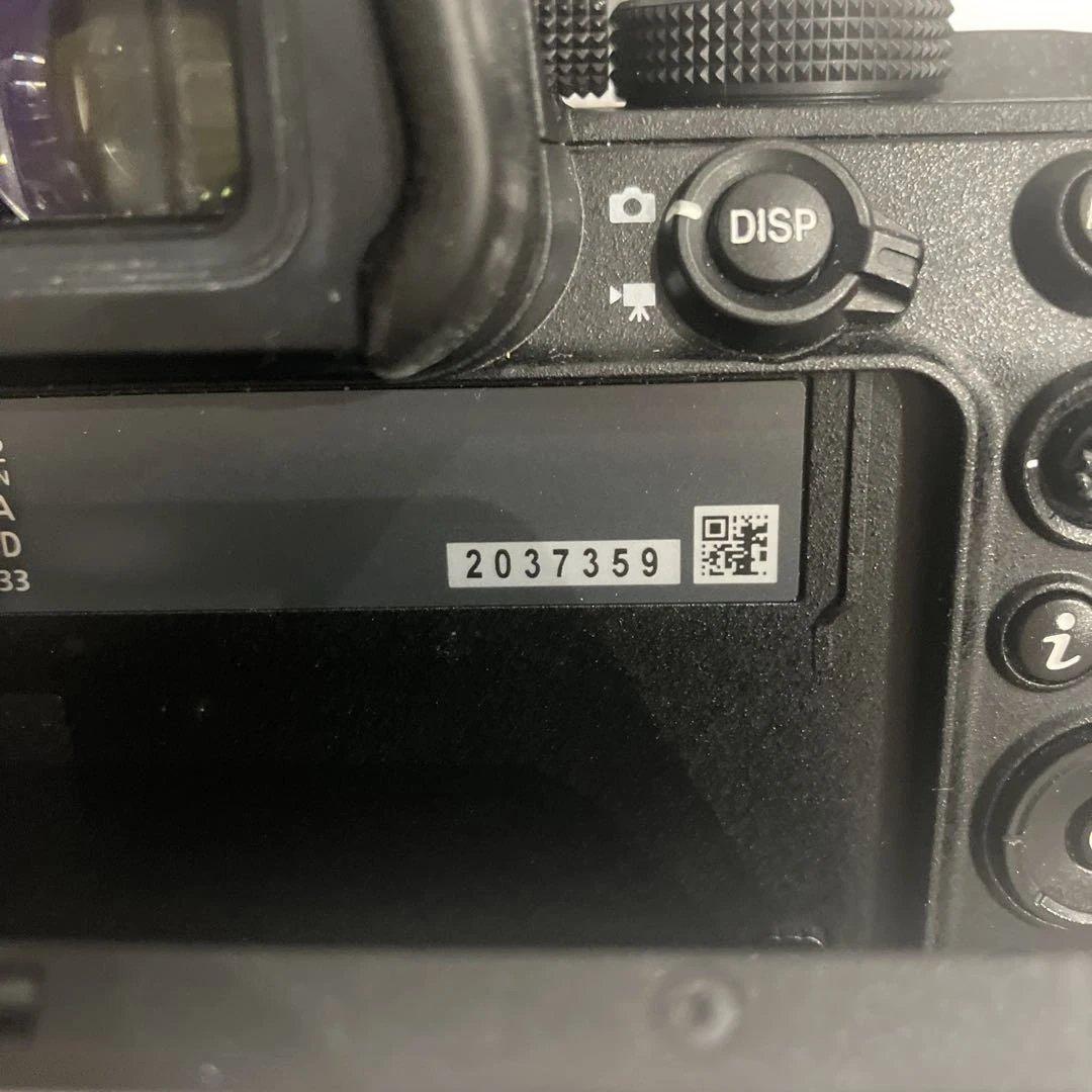 Nikon Z5 ミラーレス一眼カメラ