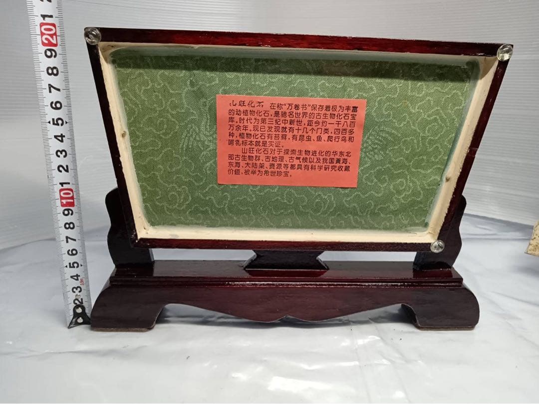 リコプテラ　ジュラ紀 硬骨魚綱 リコプテラ科　中国 遼寧省凌源県　2点　化石