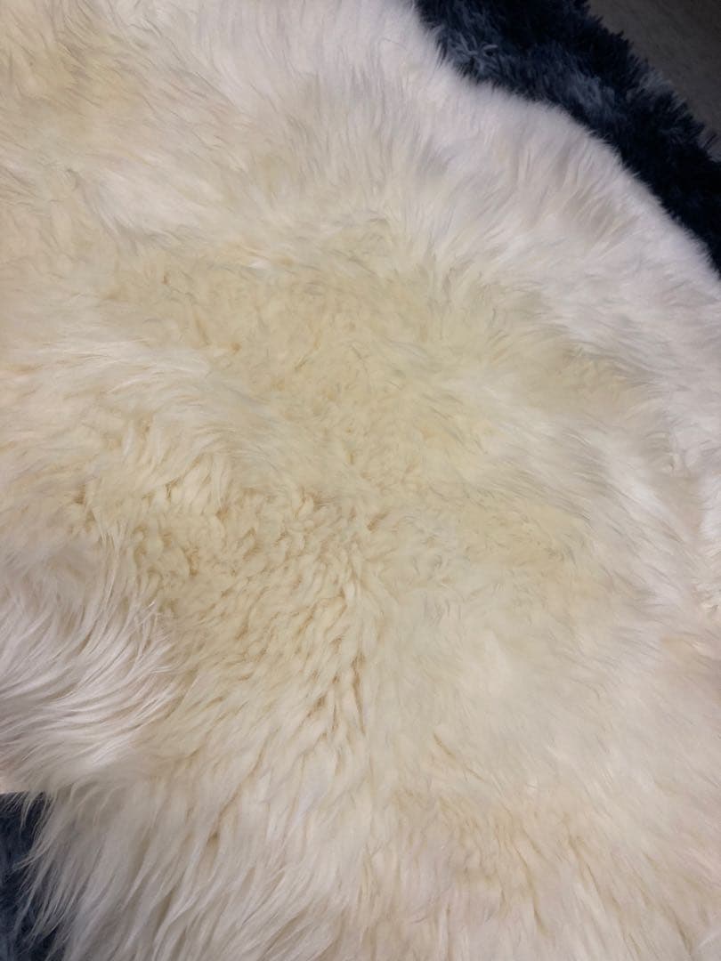 本物ムートンラグ２匹物　羊毛皮　ニュージーランド産　ホワイト