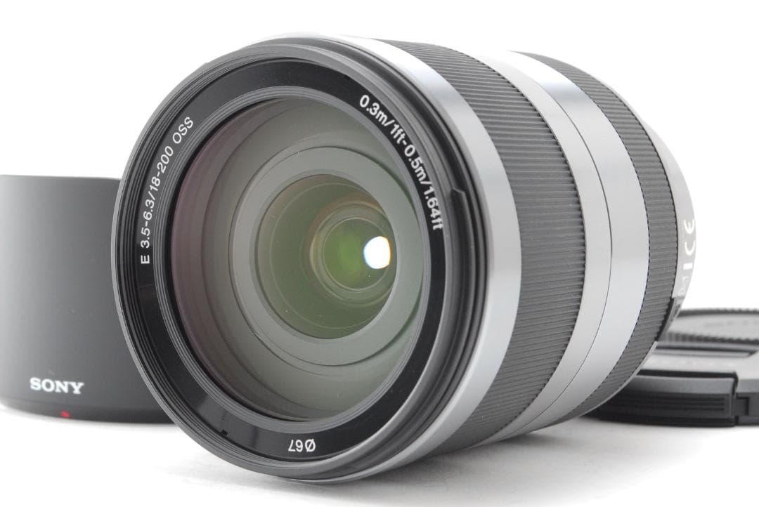 Sony E 18-200mm 3.5-6.3 OSS レンズ #251