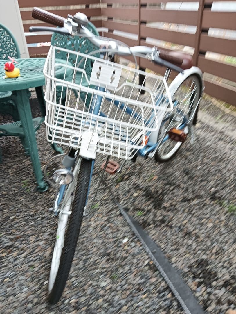 手渡し 子供用自転車 チャンスター24インチ